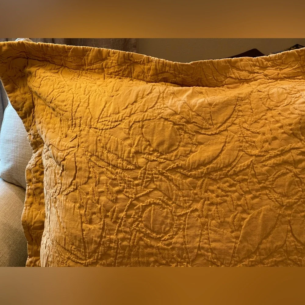 POTTERY BARN Matelasse Golden Yellow Euro Sham